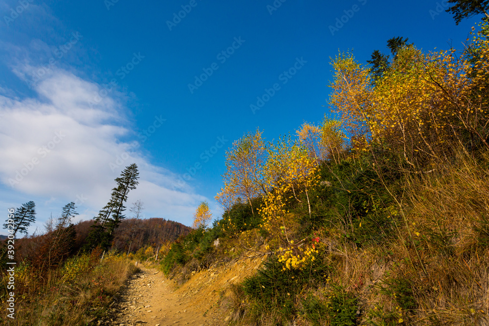 Fototapeta premium Autumn mountain landscape Wielka Racza