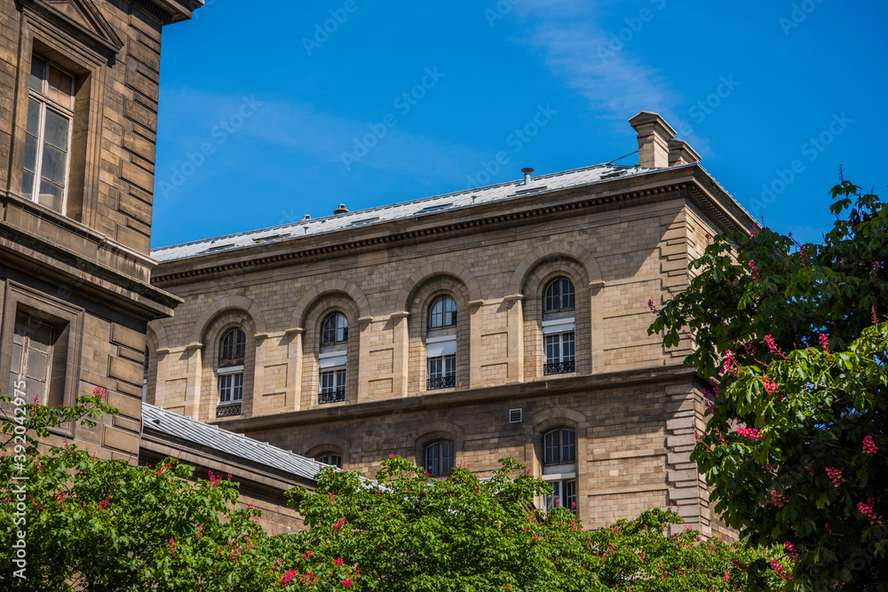 View of a building and trees on a sunny day in Paris