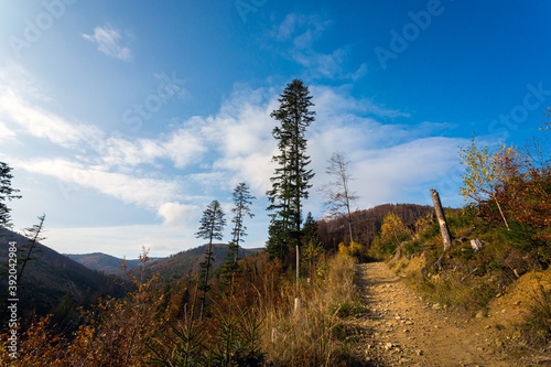Fototapeta Naklejka Na Ścianę i Meble -  Autumn mountain landscape Wielka Racza