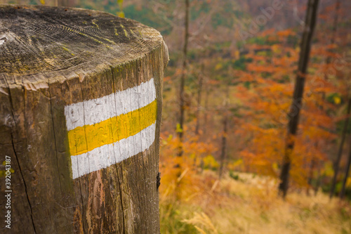 Fototapeta Naklejka Na Ścianę i Meble -  Autumn mountain landscape Wielka Racza