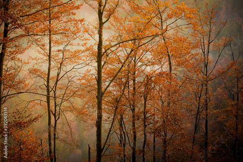 Autumn mountain landscape Wielka Racza