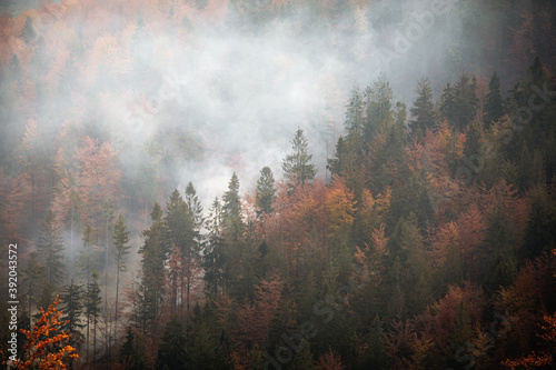 Fototapeta Naklejka Na Ścianę i Meble -  Autumn mountain landscape Wielka Racza