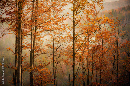 Fototapeta Naklejka Na Ścianę i Meble -  Autumn mountain landscape Wielka Racza
