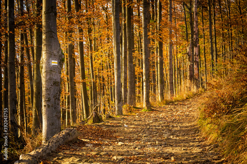 Fototapeta Naklejka Na Ścianę i Meble -  Autumn mountain landscape Wielka Racza