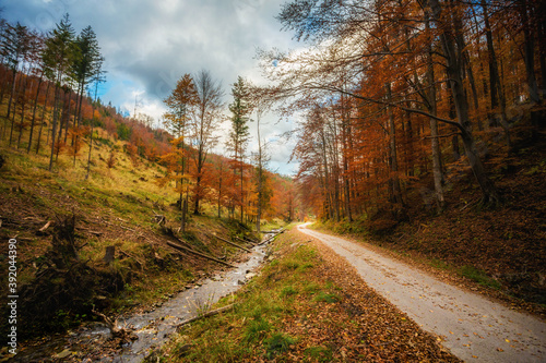 Fototapeta Naklejka Na Ścianę i Meble -  Autumn mountain landscape Wielka Racza