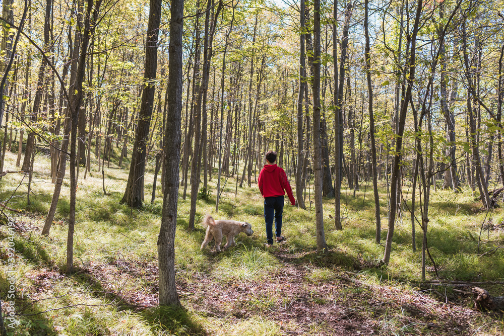 Teenage boy walking through the woods with his dog on a summer day. Teenage boy walking through the woods with his dog on a summer day.