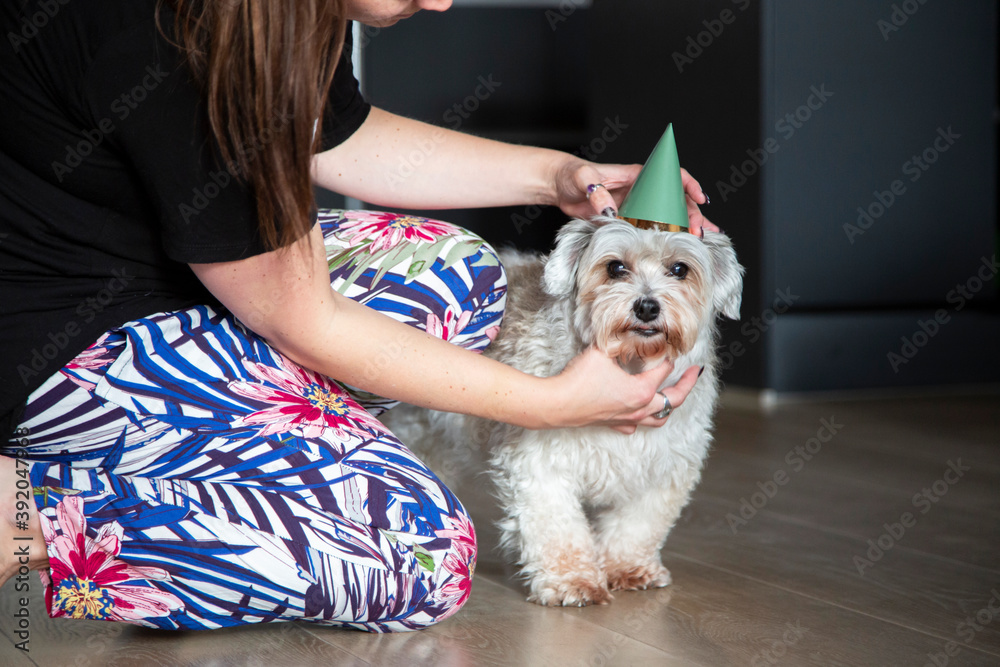 A dog mom adjusts her birthday boys hat A dog mom adjusts her birthday boys hat