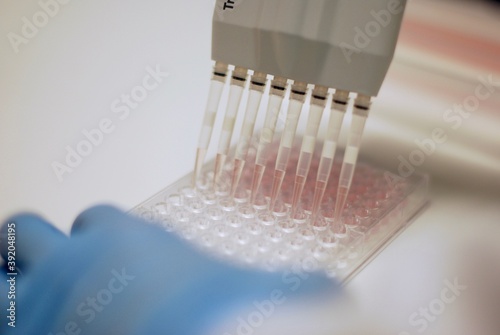 Pipetting into a 96 well plate photo