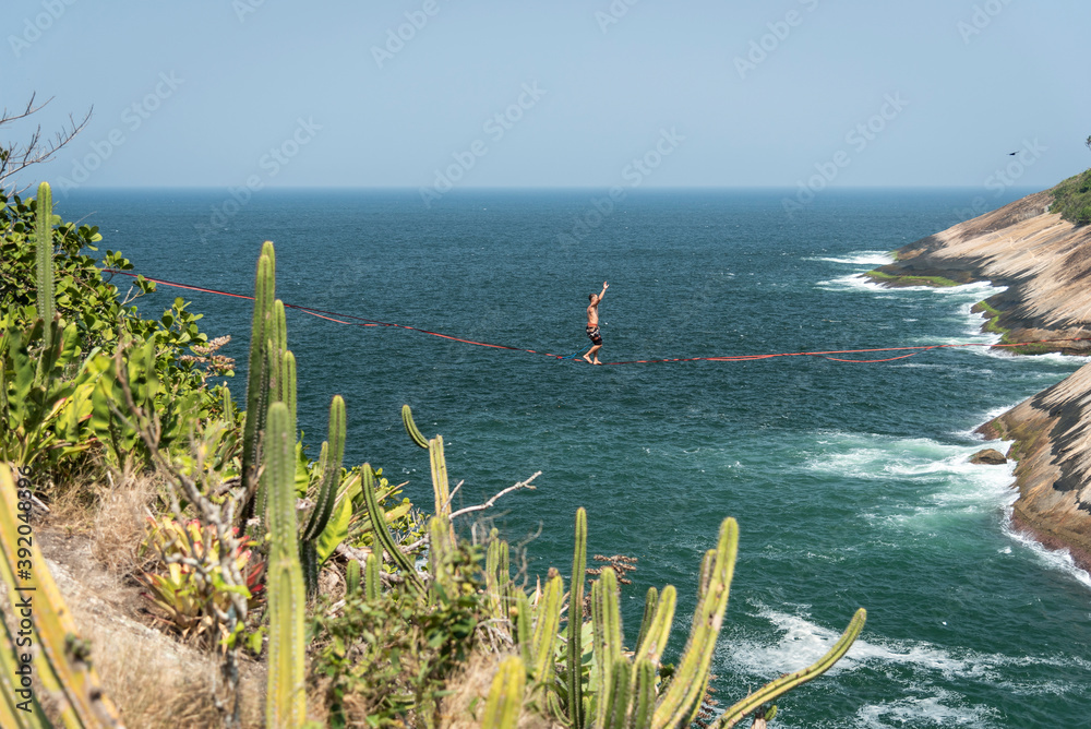 Beautiful view to highliner on ocean front landscape with cactus