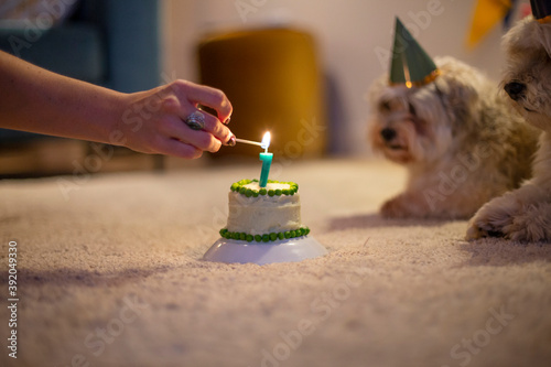 Twin brothers waiting anxiously as a human lights their birthday cake