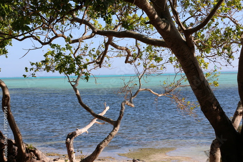 balade à la plage 