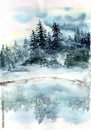 Watercolor illustration of a fir tree forest in early misty morning © Yana