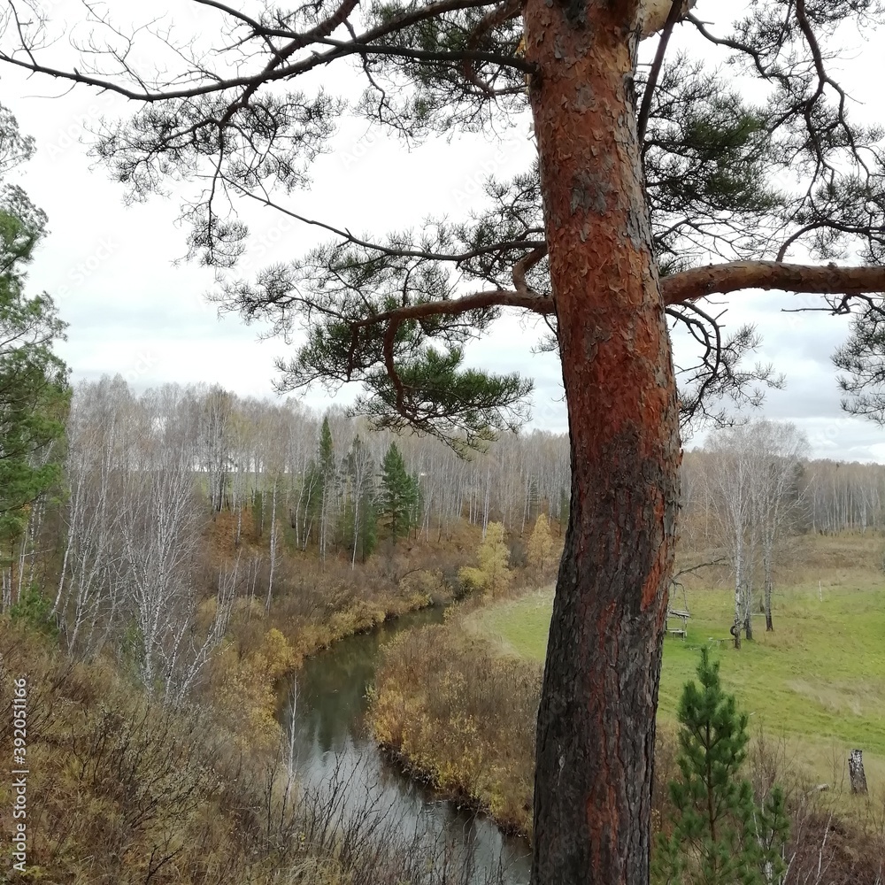 Fototapeta premium dav