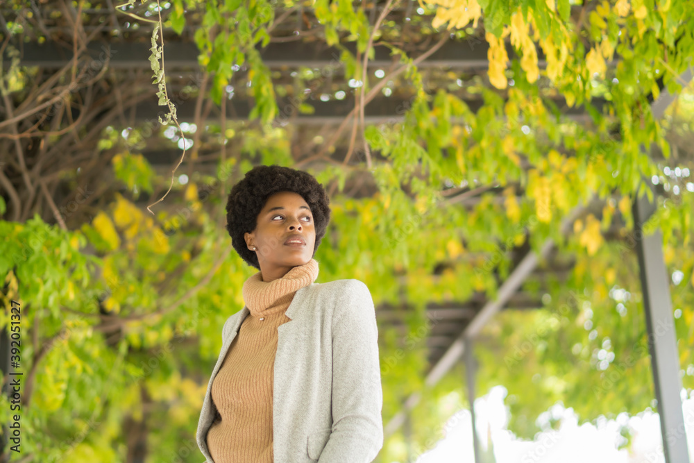 portrait of elegant african woman with afro hair portrait of elegant african woman with afro hair