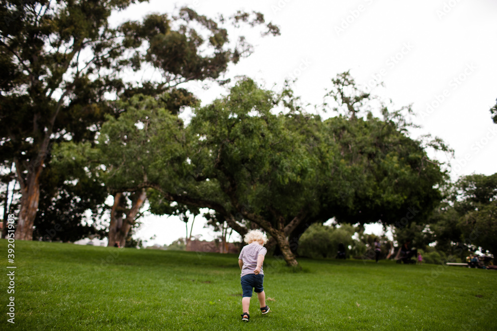 Two Year Old Running Through Park with Back to Camera Two Year Old Running Through Park with Back to Camera