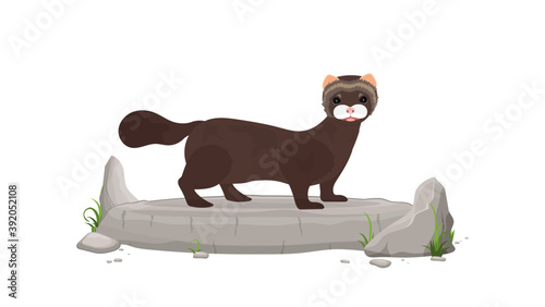 A brown mink stands on a stone. Mink in a flat style. Isolated, vector.