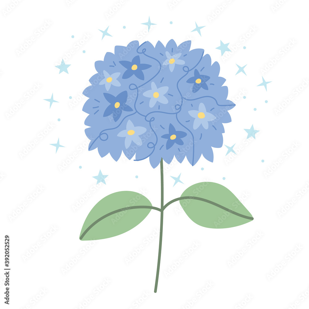 Blue hydrangea on a white background.Simple illustration.Floral