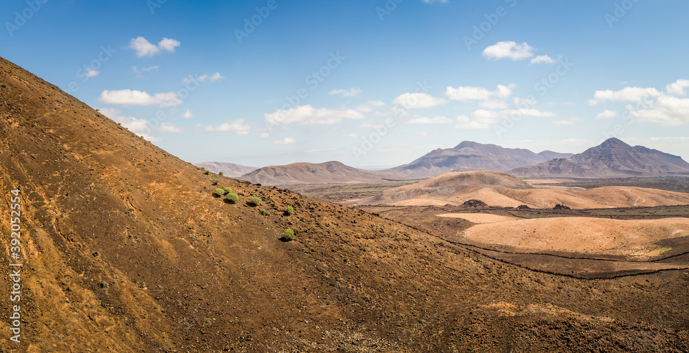 Vegetation from the Caldera de Gairia volcano in Fuerteventura. Vegetation from the Caldera de Gairia volcano in Fuerteventura.