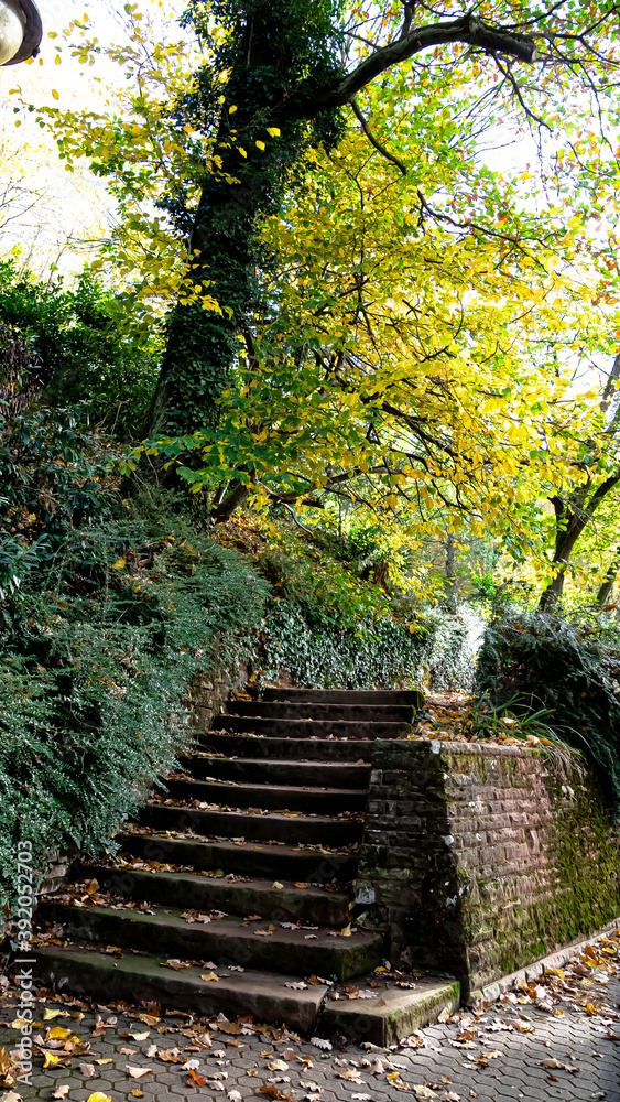 Treppe (treppan)