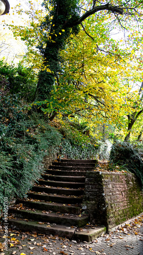 Obraz na płótnie Treppe (treppan) w salonie