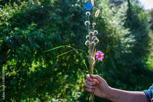 a small bouquet of dried flowers and flowers in a woman's hand. Selective focus