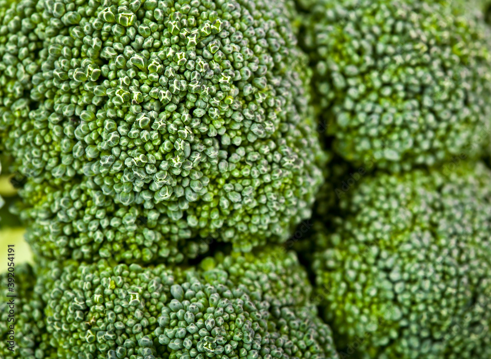 Texture of fresh broccoli vegetables. Macro photography. Texture of fresh broccoli vegetables. Macro photography.