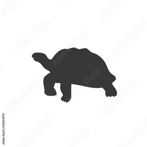 Turtle icon, vector illustration modern flat style