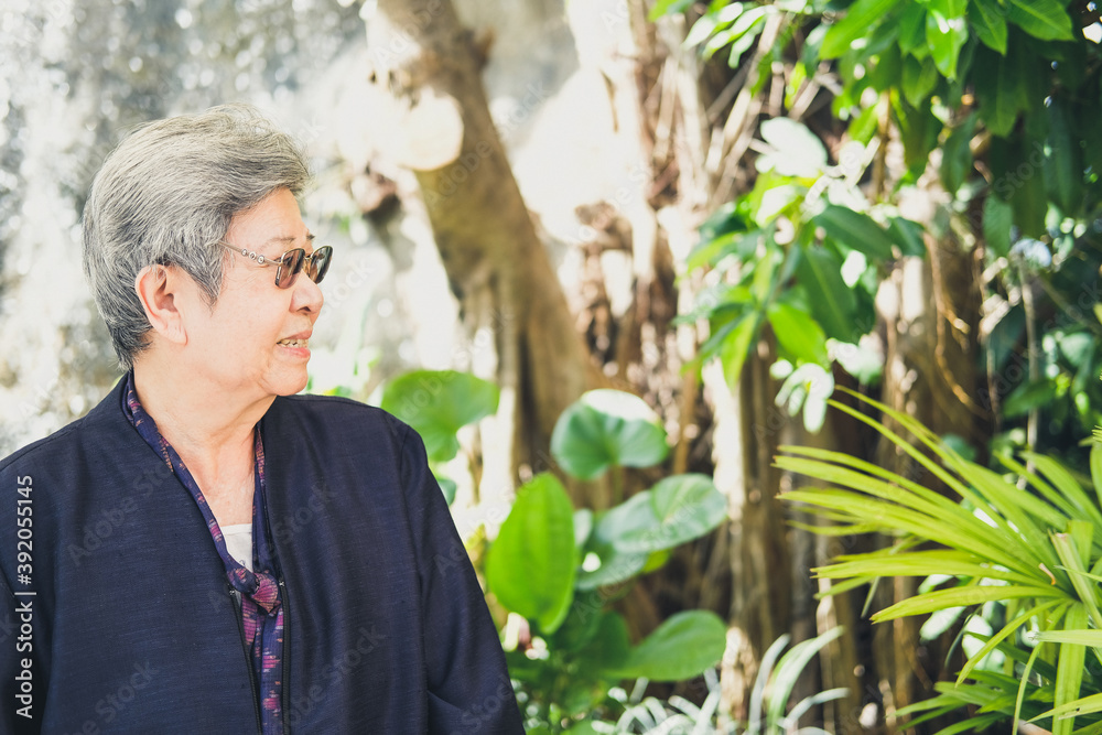 elder woman resting in garden. elderly female relaxing outdoors. senior leisure lifestyle elder woman resting in garden. elderly female relaxing outdoors. senior leisure lifestyle