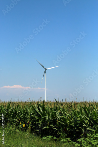 Aerogenerador eléctrico entre campos de cultivo en Rumanía. Aerogenerador con un cielo azul de fondo.