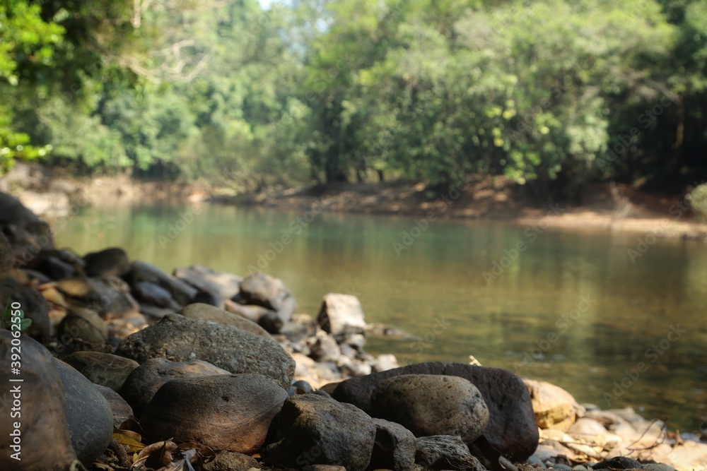 Mountain river. State Of Goa. India Mountain river. State Of Goa. India