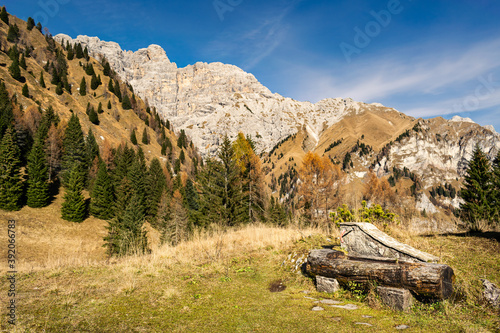 Mountain panorama with tree-lined ridges and sides. Cesiomaggiore, Belluno, Italy