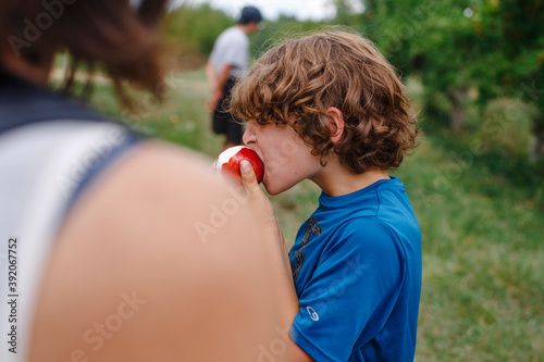 View over a woman's shoulder of a boy biting into red apple in orchard photo