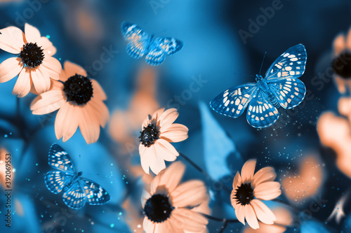 Tropical butterflies and pink bright summer flowers on a background of blue  foliage in a fairy garden. Macro artistic image.