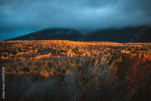 dramatic fall morning light on the forests of northern Maine