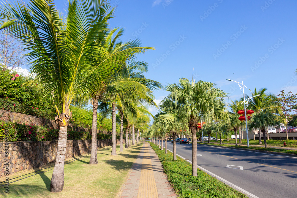 Bright sunny day on tropical island of Hainan in China.