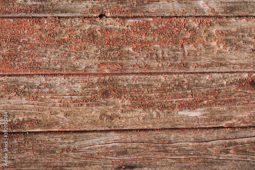 The texture of old barn boards with peeling paint. Old boards for the background. old wood texture for the background.