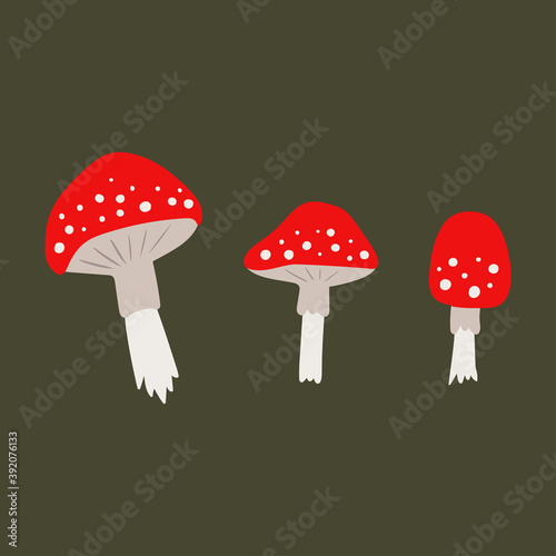 Set of poisonous mushroom fly agarics. Vector fly agarics. Poisonous forest mushroom.