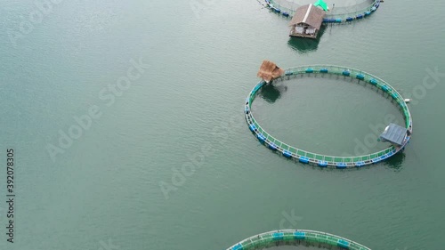 Fish farm with cages for fish and shrimp in the Philippines, Luzon. Aerial view of fish ponds for bangus, milkfish. Fish cage for tilapia, milkfish farming aquaculture or pisciculture practices.