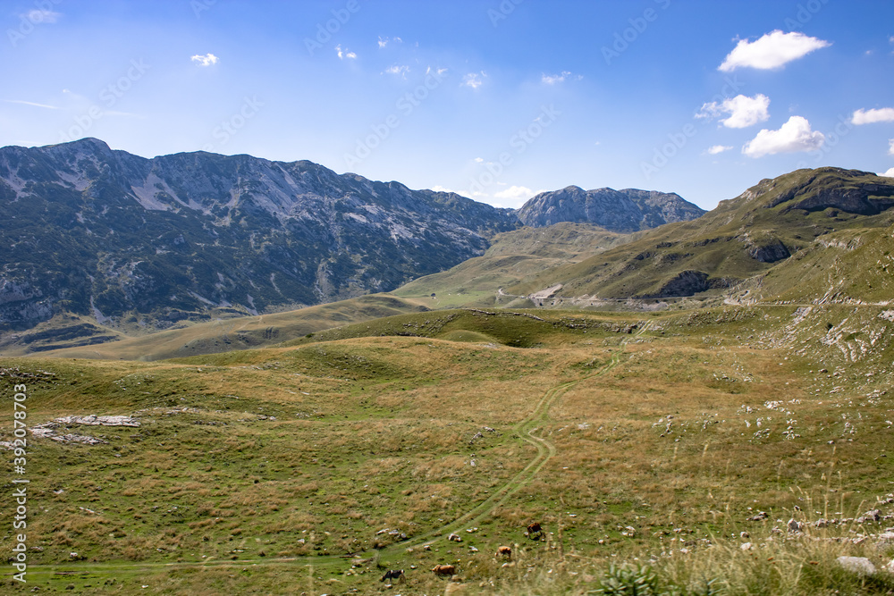 Fototapeta premium Fantastic mountains of Montenegro. Panoramic road. Picturesque mountain landscape of Durmitor National Park, Montenegro, Europe, Balkans, Dinaric Alps, UNESCO World Heritage Site.