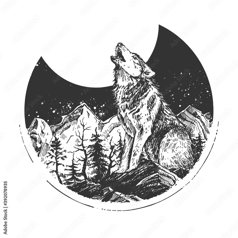 Fototapeta Howling wild wolf engraved sketch