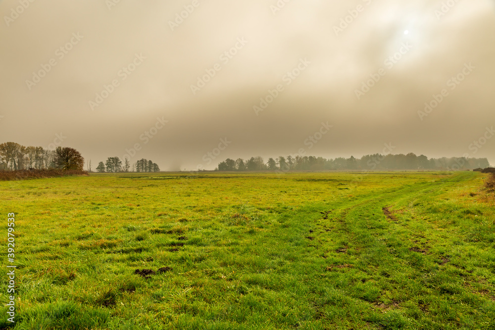 Fog hangs over the green land and obscures the sun. Fog hangs over the green land and obscures the sun.