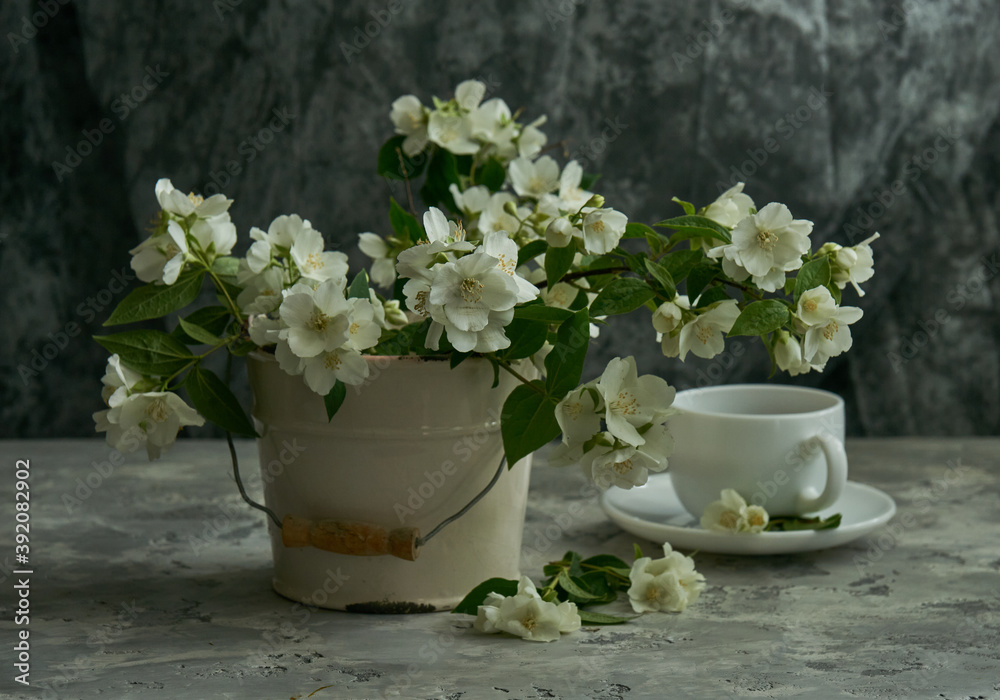 Jasmine flowers in a white vase. Stillife with jasmine and cup of coffee.