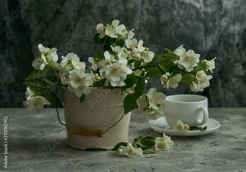 Fototapeta Naklejka Na Ścianę i Meble -  Jasmine flowers in a white vase. Stillife with jasmine and cup of coffee.