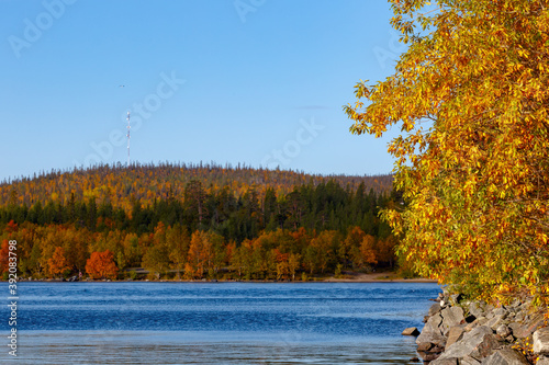 Mixed forest with colorful foliage on the stone shore of the lake. Autumn landscape, Republic of Karelia, Russia. © lexuss