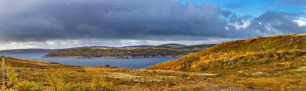 Panoramic view of a lake with vegetation in the tundra in autumn. Kola Peninsula, Russia.
