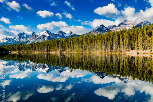 Early morning reflections in the crystal clear waters of Herbert Lake. Banff National Park  Alberta  Canada