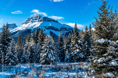 Hillsdale Meadows under a blanket of snow, Banff National Park, Alberta, Canada photo