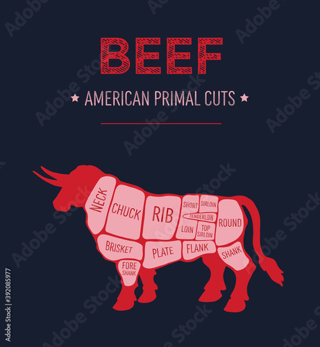 American primal beef meat cuts diagram