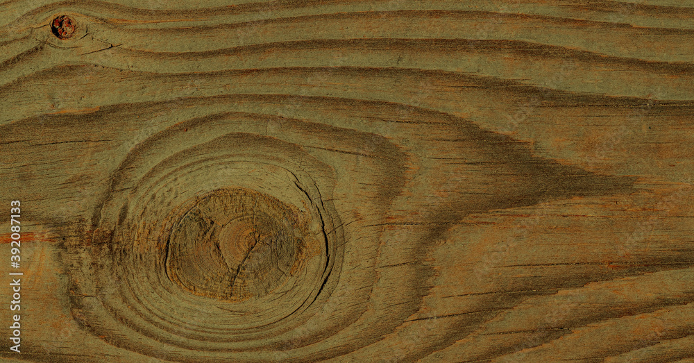 Fototapeta premium Wood texture surface with old natural pattern.
