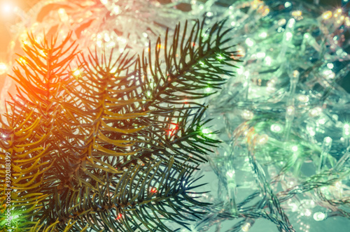 Branch of fir on christmas lights background